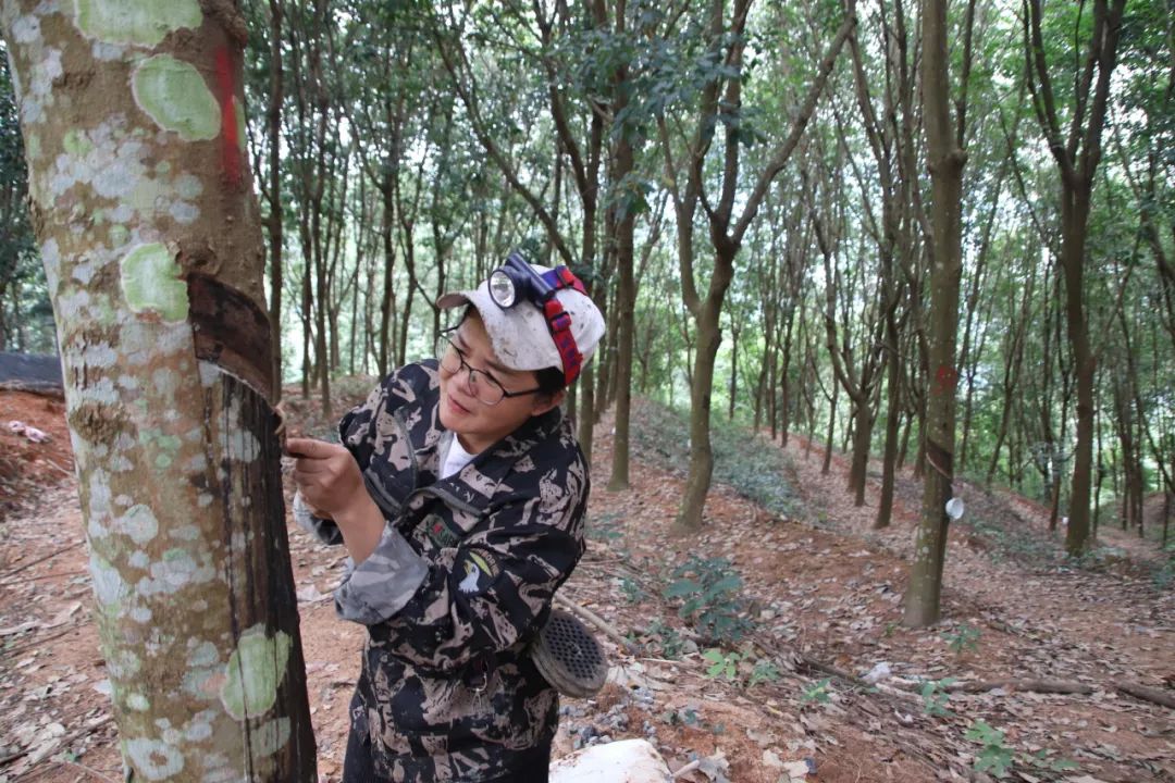 06d5105059b5413d868d32d2e791ed03