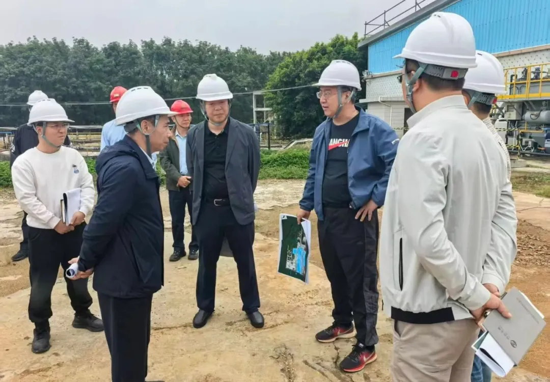 bf51df91c7c74fe1b062284d2983eec9