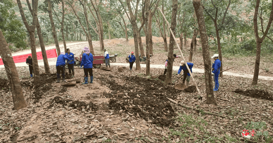 c539e41f011544cebf8abd99dbd93e47