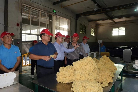 EMC易倍·(中国)体育官方网站-EMC SPORTS