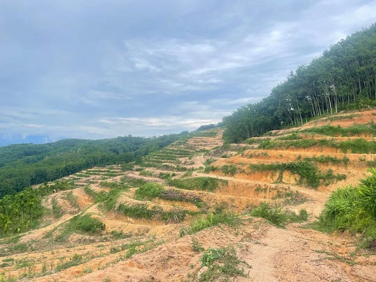 EMC易倍·(中国)体育官方网站-EMC SPORTS