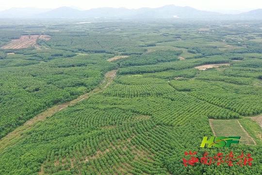 EMC易倍·(中国)体育官方网站-EMC SPORTS