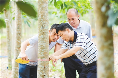 EMC易倍·(中国)体育官方网站-EMC SPORTS