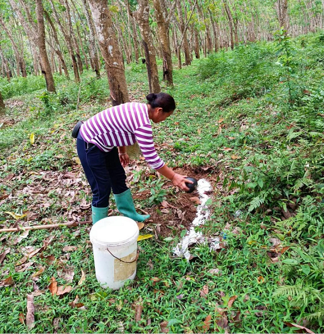 EMC易倍·(中国)体育官方网站-EMC SPORTS