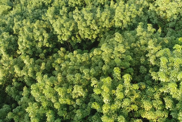 EMC易倍·(中国)体育官方网站-EMC SPORTS