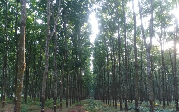 EMC易倍·(中国)体育官方网站-EMC SPORTS