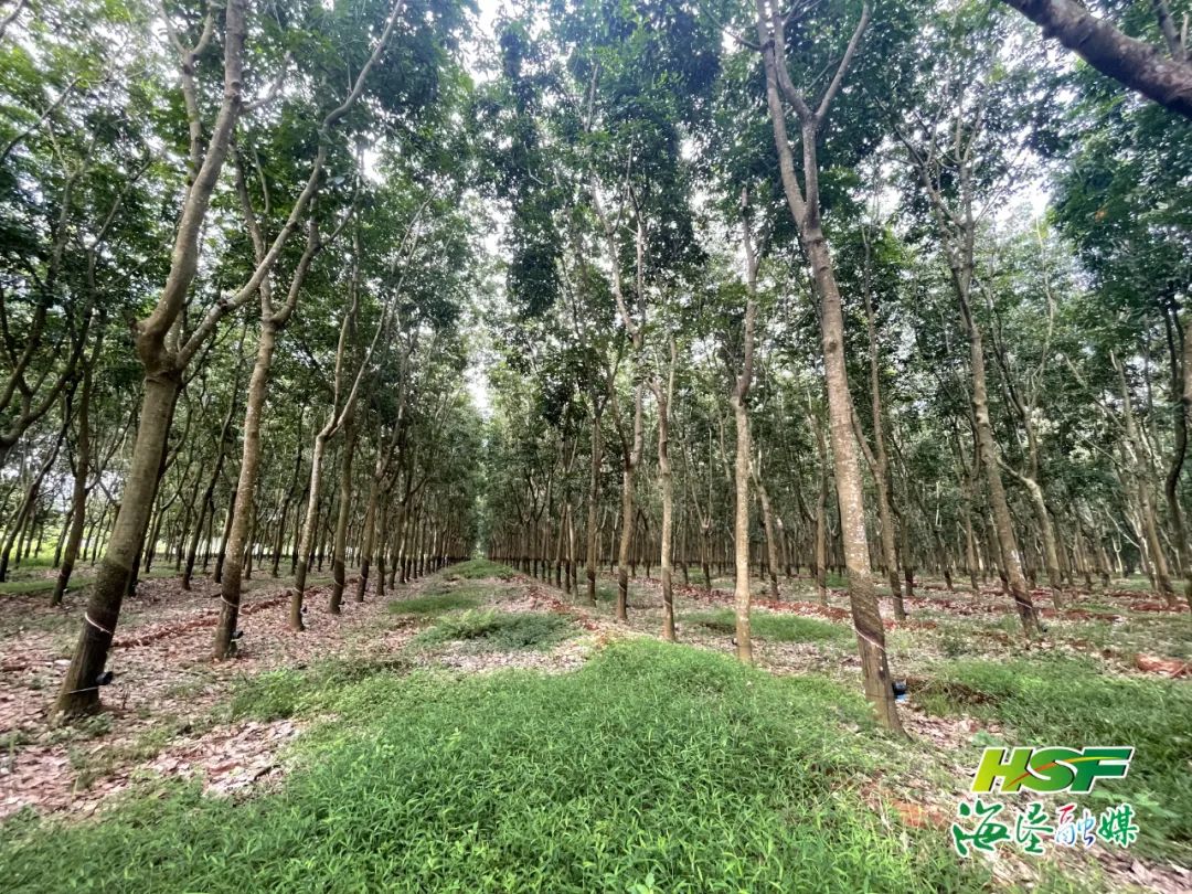 EMC易倍·(中国)体育官方网站-EMC SPORTS