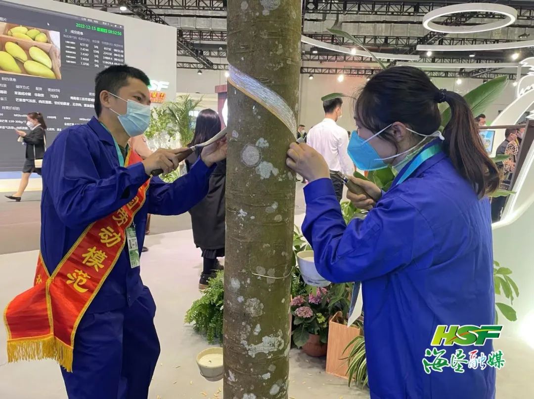 EMC易倍·(中国)体育官方网站-EMC SPORTS