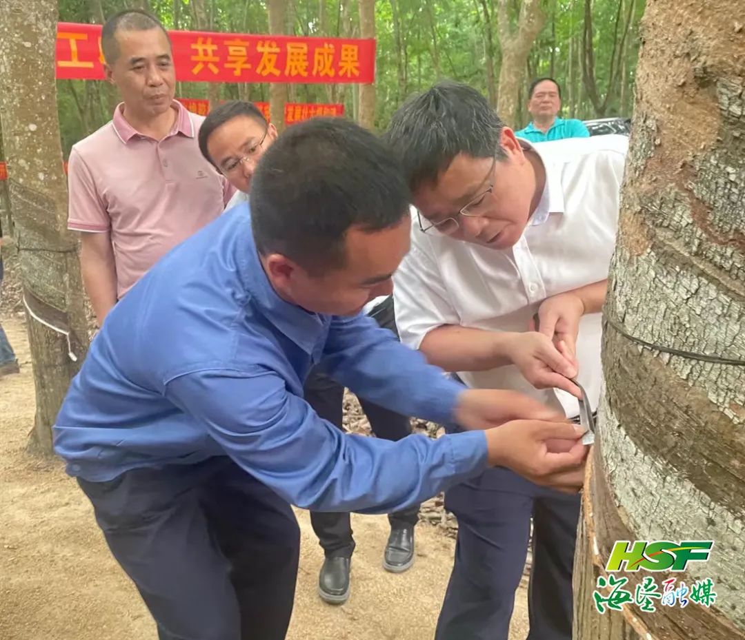 EMC易倍·(中国)体育官方网站-EMC SPORTS