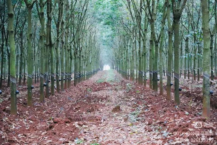 EMC易倍·(中国)体育官方网站-EMC SPORTS