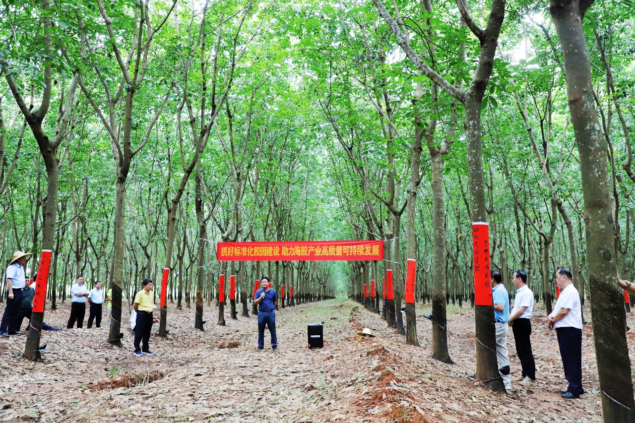 EMC易倍·(中国)体育官方网站-EMC SPORTS