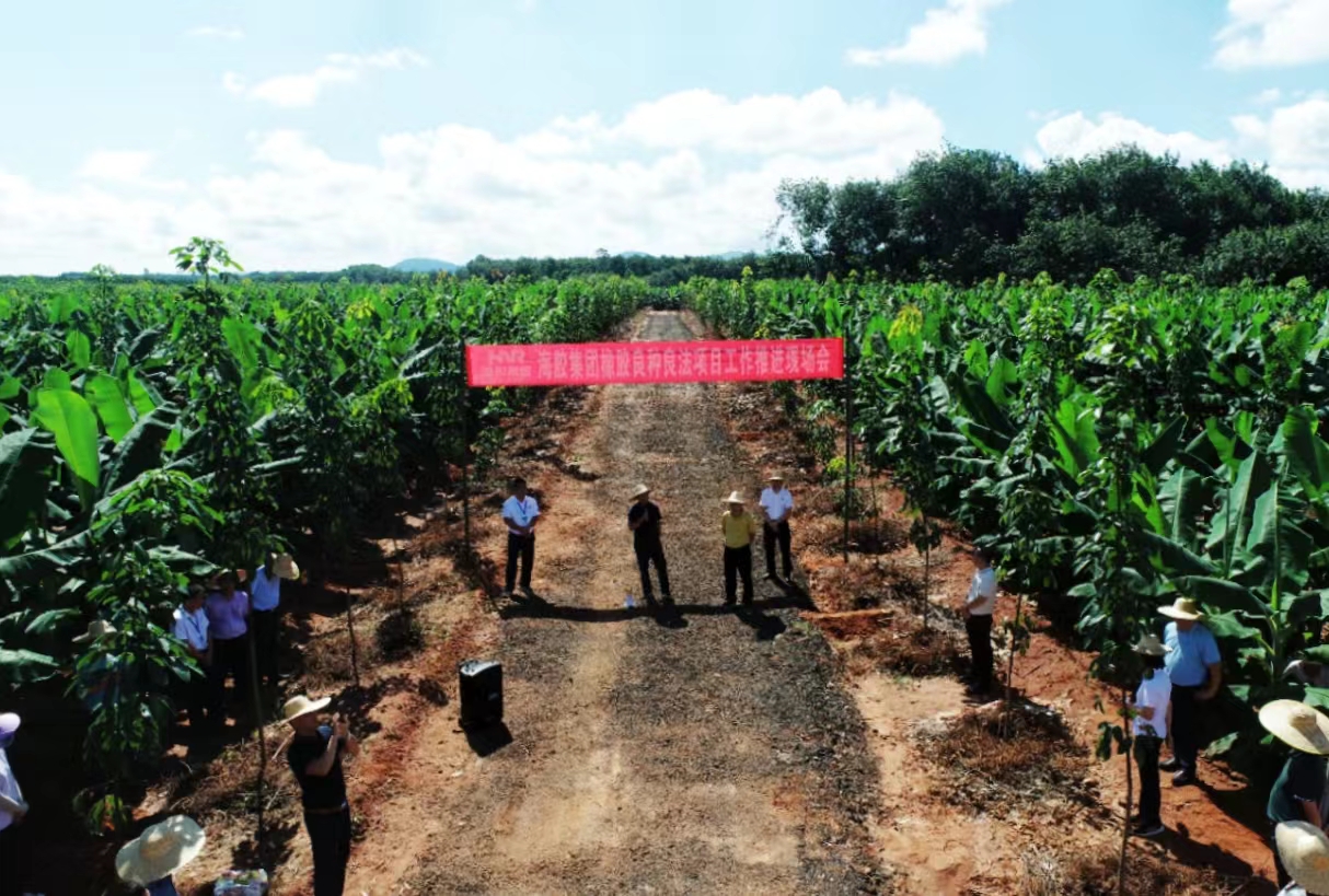 EMC易倍·(中国)体育官方网站-EMC SPORTS