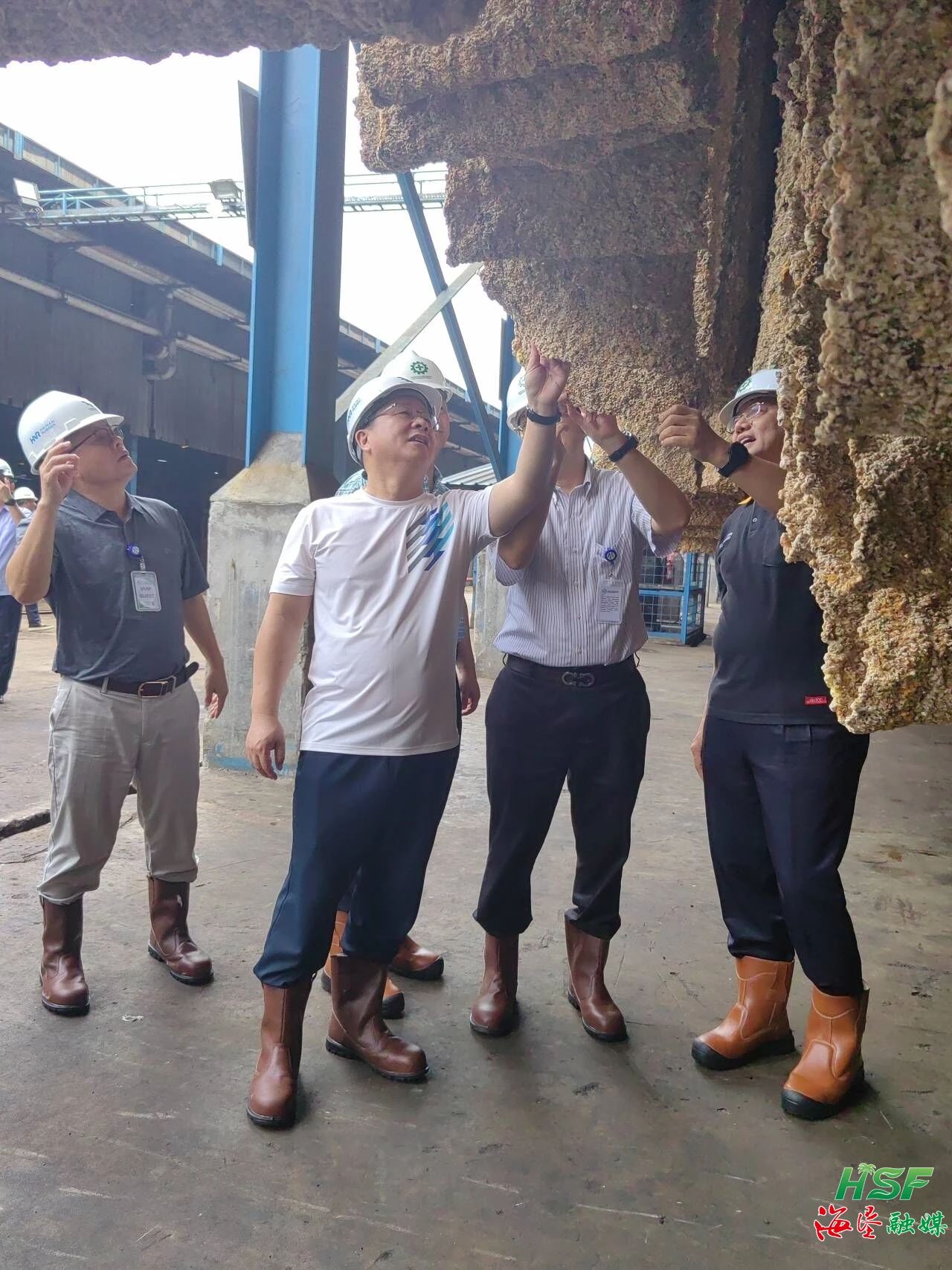 包洪文一行调研合盛农业SGO加工厂！！