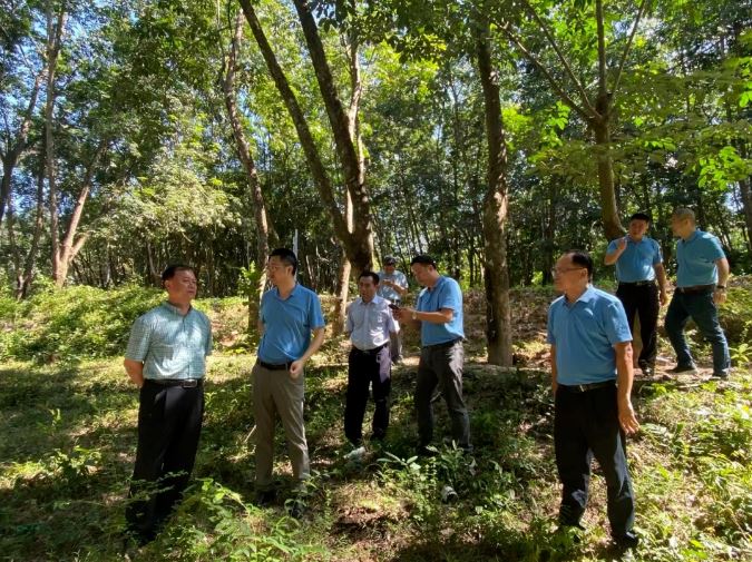 EMC易倍·(中国)体育官方网站-EMC SPORTS